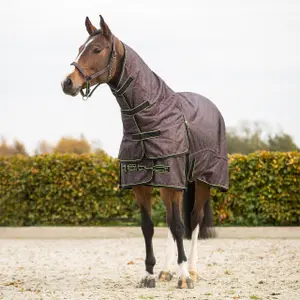 Outdoor rug with detachable neck cover QHP 150g image-1