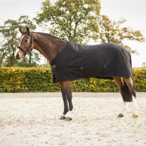Blanket QHP Avenna 0g image-0