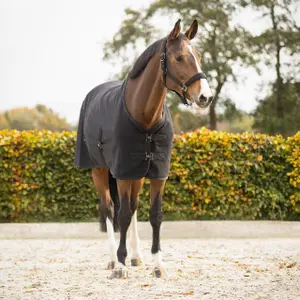 Blanket QHP Avenna 0g image-1