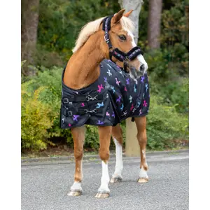 Outdoor  Blanket QHP Isalyn 100g image-1