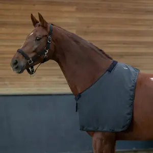 Chest protection for horses QHP image-0