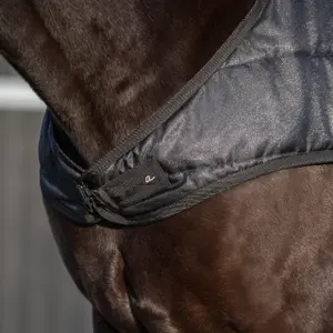 Waterproof Horse Walker Blanket QHP image-1