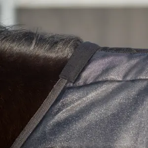 Waterproof Horse Walker Blanket QHP image-2