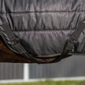 Waterproof Horse Walker Blanket QHP image-3