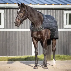 Waterproof Horse Walker Blanket QHP image-5
