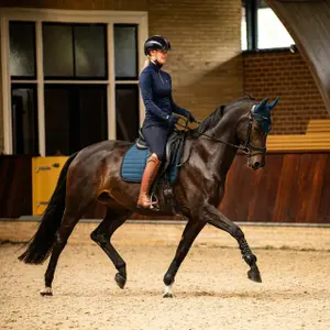 Gants d'équitation QHP Avélie image-1