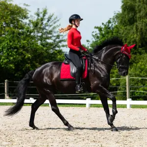 Legginsy jeździeckie z pełną przyczepnością QHP Oakleigh image-5