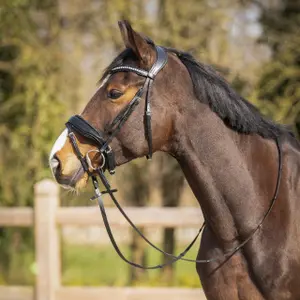 Bridon équitation pour cheval QHP image-6