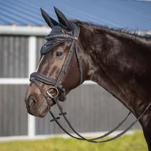 Anatomical riding strap QHP Glitter image-1