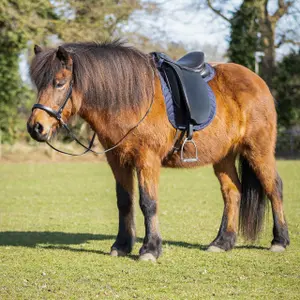 Lederhalfter für Pferd Isländisches Zaumzeug QHP Fjara image-5