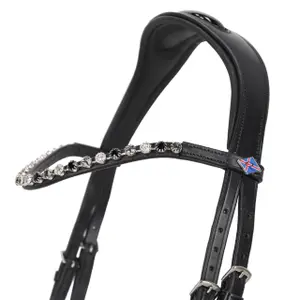 Pferdehalfter Leder QHP Fjara image-1