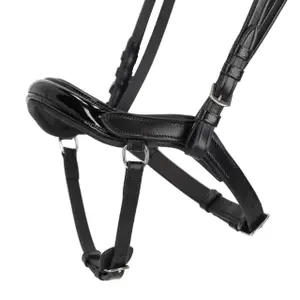 Pferdehalfter Leder QHP Fjara image-2