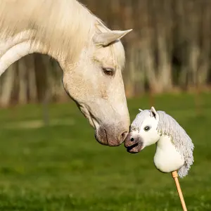Hobby Horse QHP Nalanta image-6