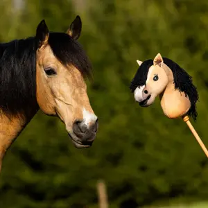 Hobby Horse QHP Nalanta image-2