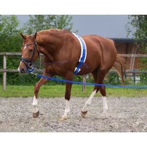 Working lanyard for horses QHP 8m image-1