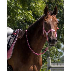 Morso per cavallo con scivolo Q-essentials image-1