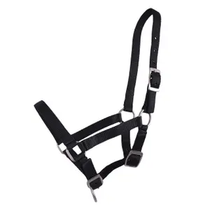 Halter for foal Q-essentials image-0