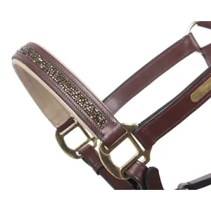 Licol pour cheval QHP Lupine image-3