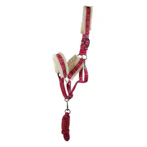 Halter for horse with lead rope QHP image-0