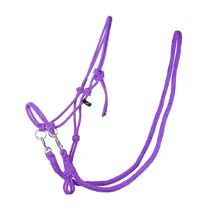 Halter with reins QHP image-0