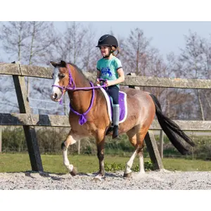 Halter with reins QHP image-1