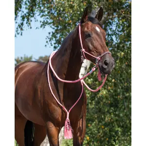 Ethological halter for horse QHP Combi Liberty image-1