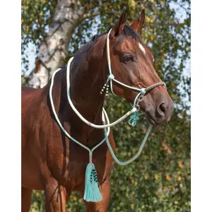 Halter for horse reins QHP Combi Liberty image-3