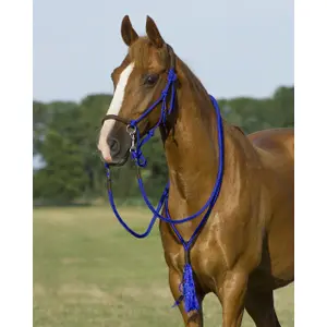 Halter for horse rope QHP Liberty image-1