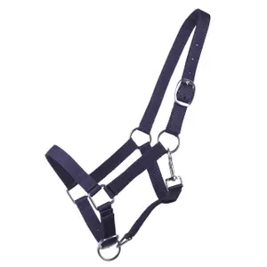 Cavezza per puledro Q-essentials Yearling image-0