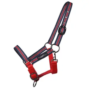 Halter QHP Collection Yearling image-0