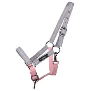 Halter QHP Collection Yearling image-0