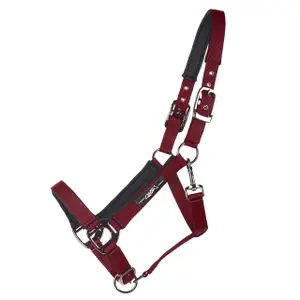 Cabestro para caballos QHP Deluxe image-0