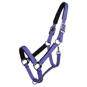 Halter for horse QHP Deluxe image-0