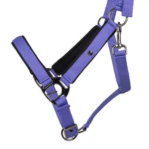Halter for horse QHP Deluxe image-1