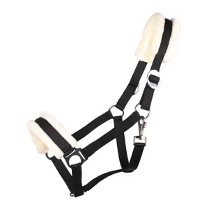 Halfter Q-essentials Cali image-0