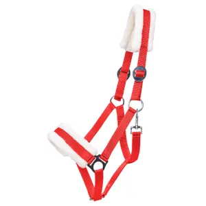 Cabresto para cavalos Q-essentials Cali image-0