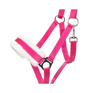 Cabresto para cavalos Q-essentials Cali image-2