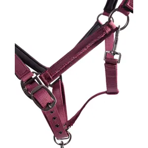 Set aus Halfter und Longiergurt für Pferde QHP Lily image-3