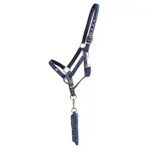 Set aus Halfter und Longiergurt für Pferde QHP Lily image-0