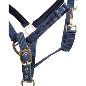 Set aus Halfter und Longiergurt für Pferde QHP Lily image-3