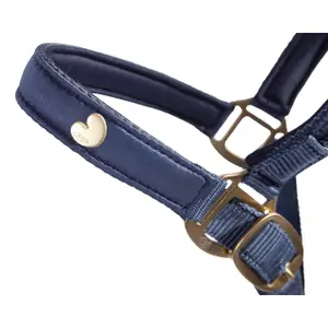 Set aus Halfter und Longiergurt für Pferde QHP Lily image-2