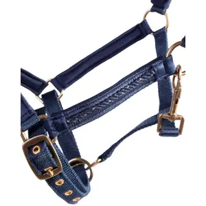 Fohlenhalfter QHP Lily image-2