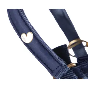 Fohlenhalfter QHP Lily image-3