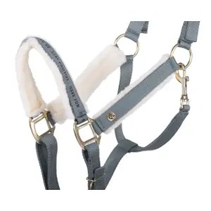 Juego de cabestro y correa para caballos QHP Equestrian Dream image-1