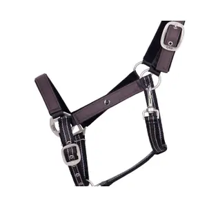 Halter and lead rope set for horse QHP collection Crocodile image-1