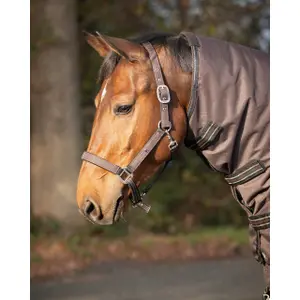 Halter and lead rope set for horse QHP collection Crocodile image-2