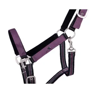 Halter and lead rope set for horse QHP collection Mystical image-1