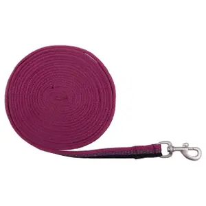Lead Rope QHP collection Mystical image-0