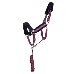 Halter and lead rope set for horse QHP World Tour image-0