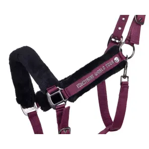 Halter and lead rope set for horse QHP World Tour image-1